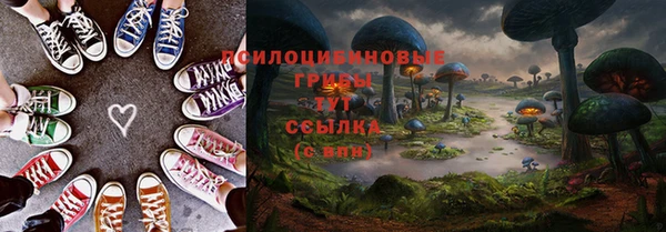 spice Алзамай