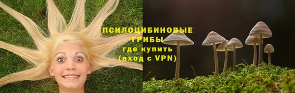 spice Алзамай