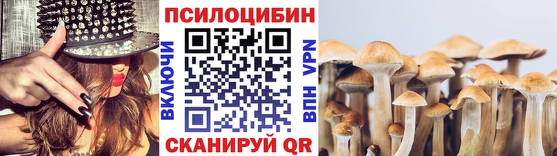 где купить   Находка  Галлюциногенные грибы GOLDEN TEACHER 