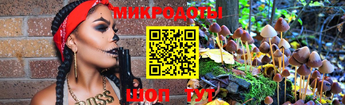 Псилоцибиновые грибы мицелий  Вход с VPN  Находка 